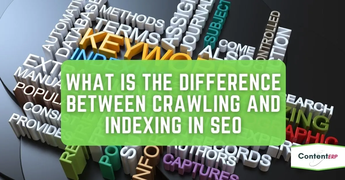 Blog Privacy Policy What is the difference between crawling and indexing in SEO