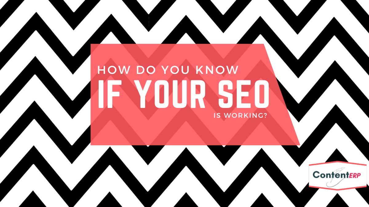 How do you know if your seo is working?