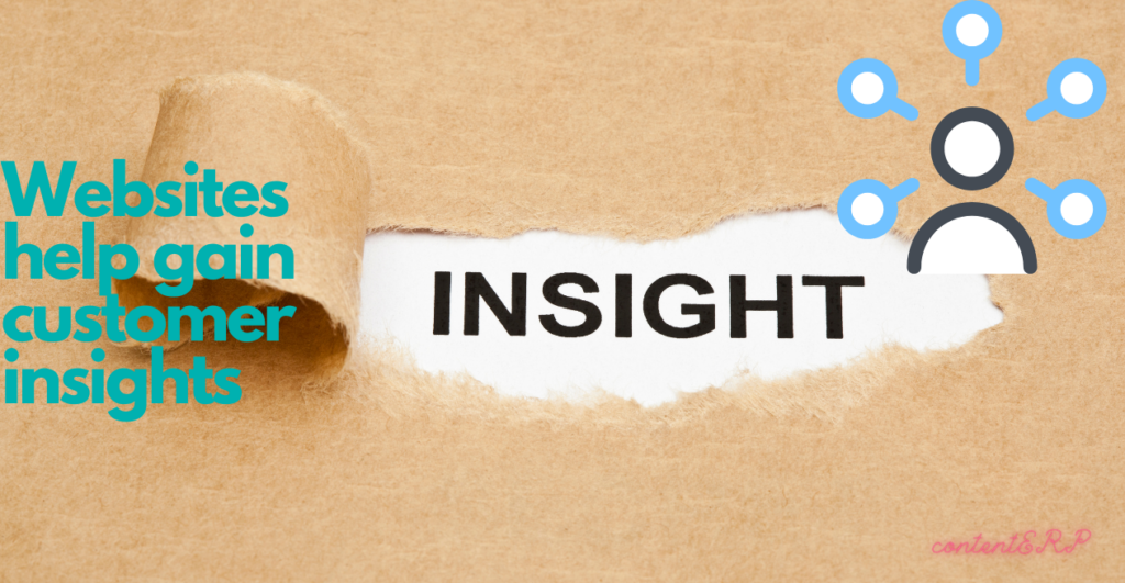 customer insights from small business websites