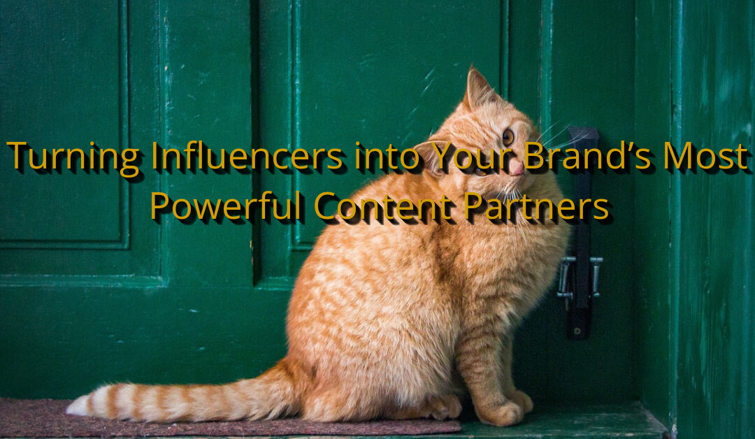 Turning Influencers into Your Brand’s Most Powerful Content Partners